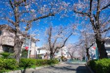 ☆京浜東北線☆★埼京線★2沿線利用可能　新築物件が令和8年春に完成予定！